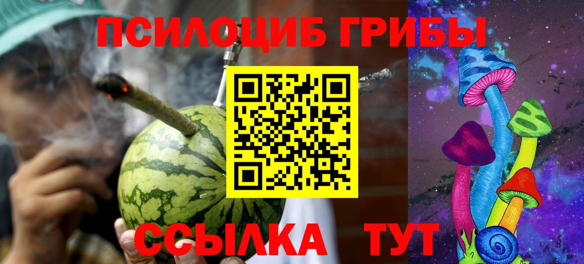 Галлюциногенные грибы прущие грибы  Галлюциногенные грибы MAGIC MUSHROOMS  Вход с VPN  Камень-на-Оби 